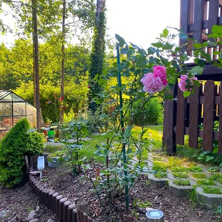 Holibobos Year Round In By The Only 30 Minutes From Gdansk And Gdynia